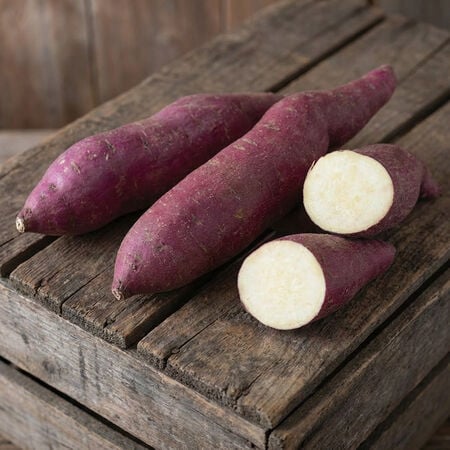 Murasaki Purple, Sweet Potato Slips - 25 Potato Slips image number null